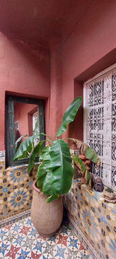 Riad Kainos Marrakesh Eksteriør billede